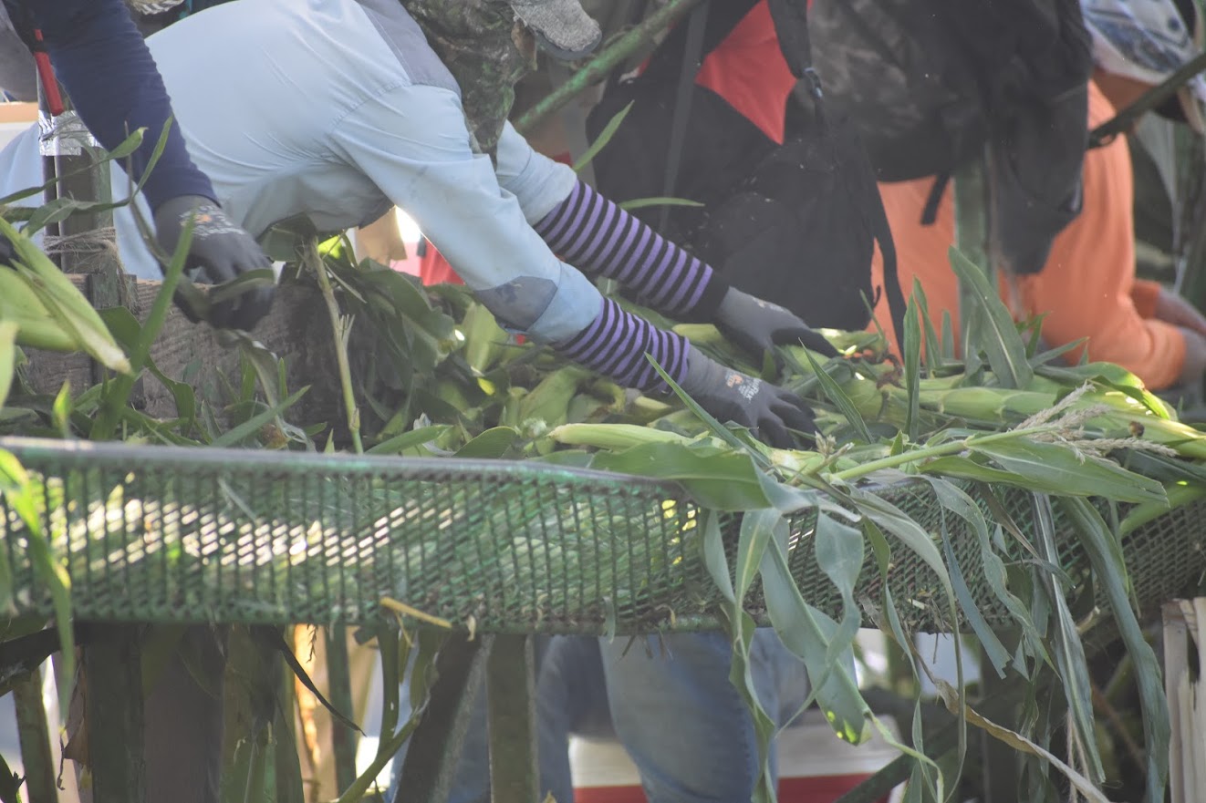 Featured image for “Farmers Hoping, Waiting For Final Bill To Be Implemented Concerning AEWR”