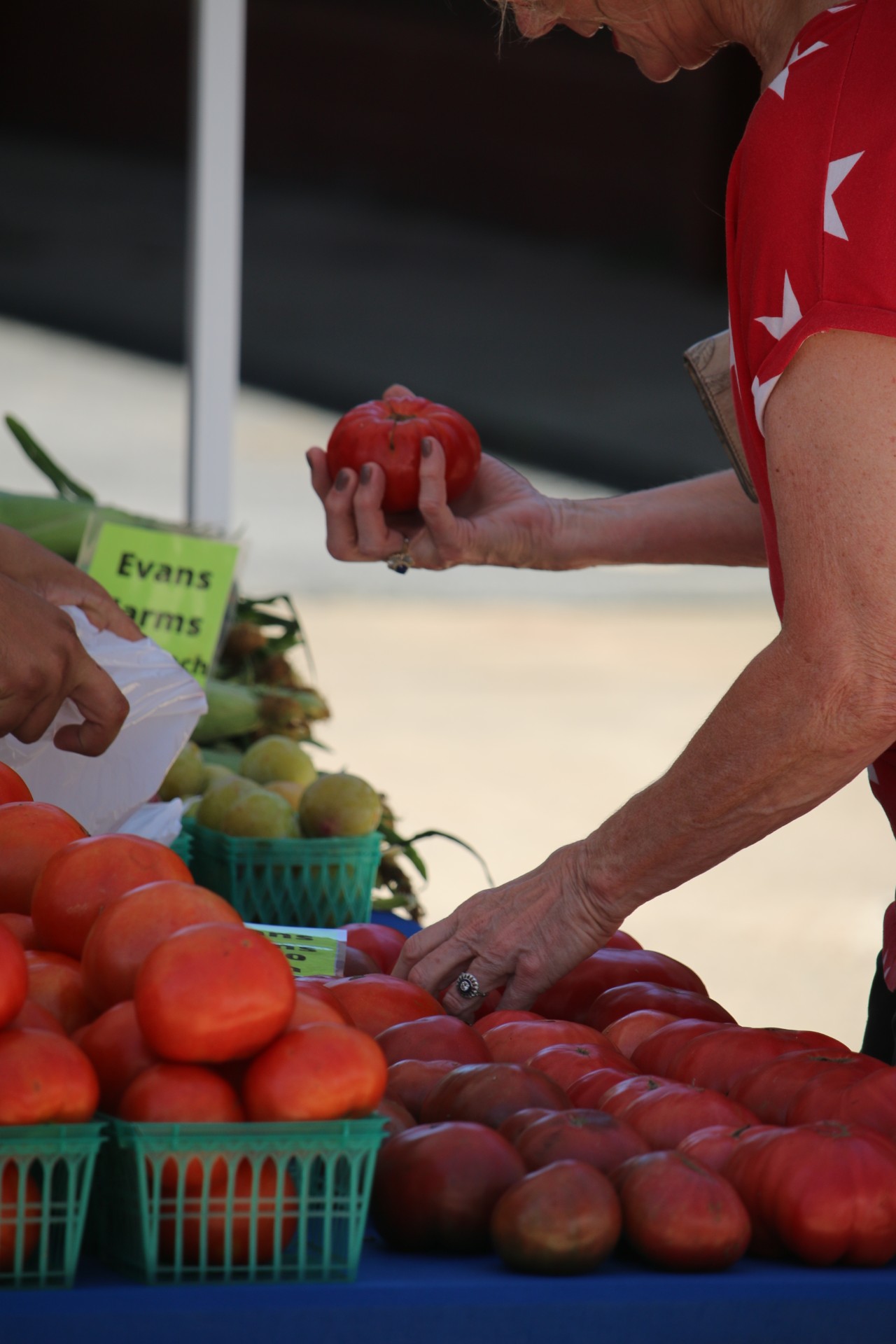 Featured image for “Sweet Grown Alabama Hosts Farmers Market in Conjunction with Tomato Sandwich Lunch”