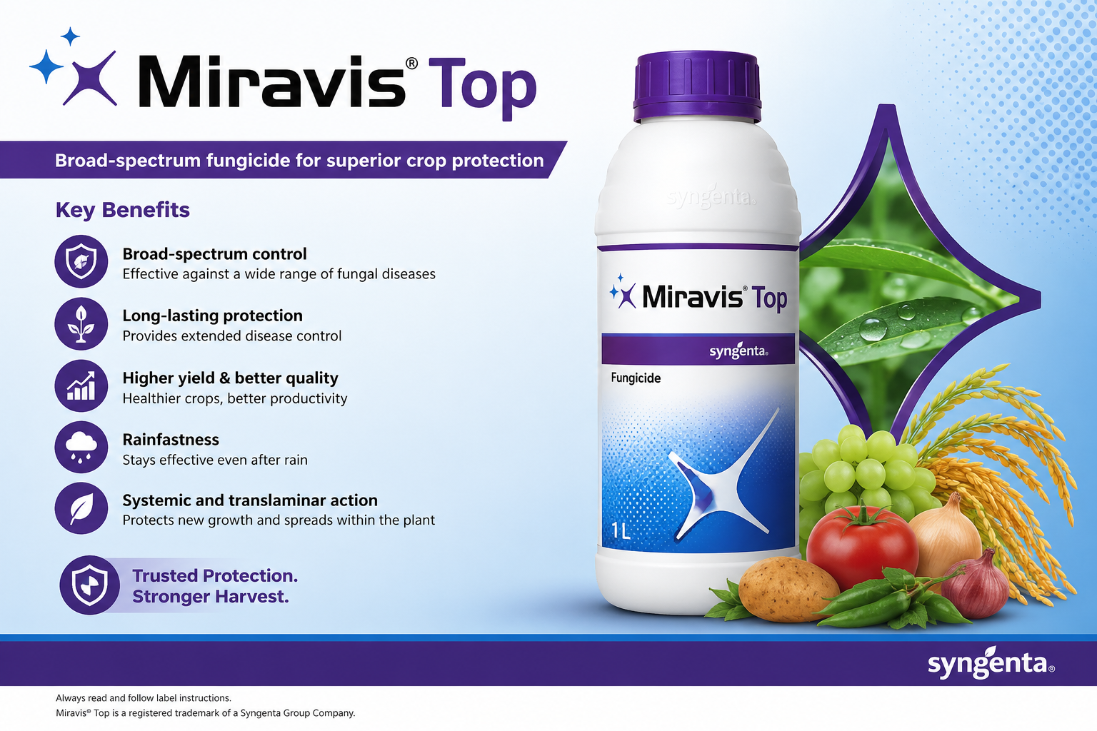 Featured image for “Miravis Top Resistance Susceptibility a Concern for Southeast Pecan Producers”
