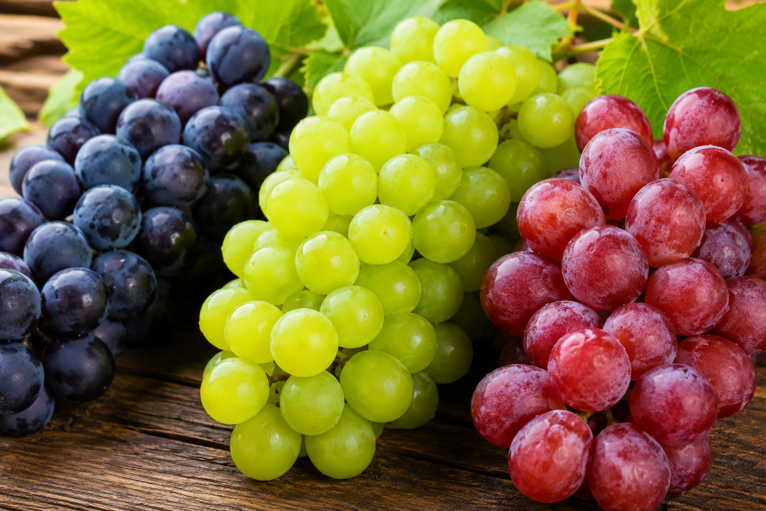 Featured image for “UGA Research Focusing on Potential Alternatives to Mancozeb in Grape Production”