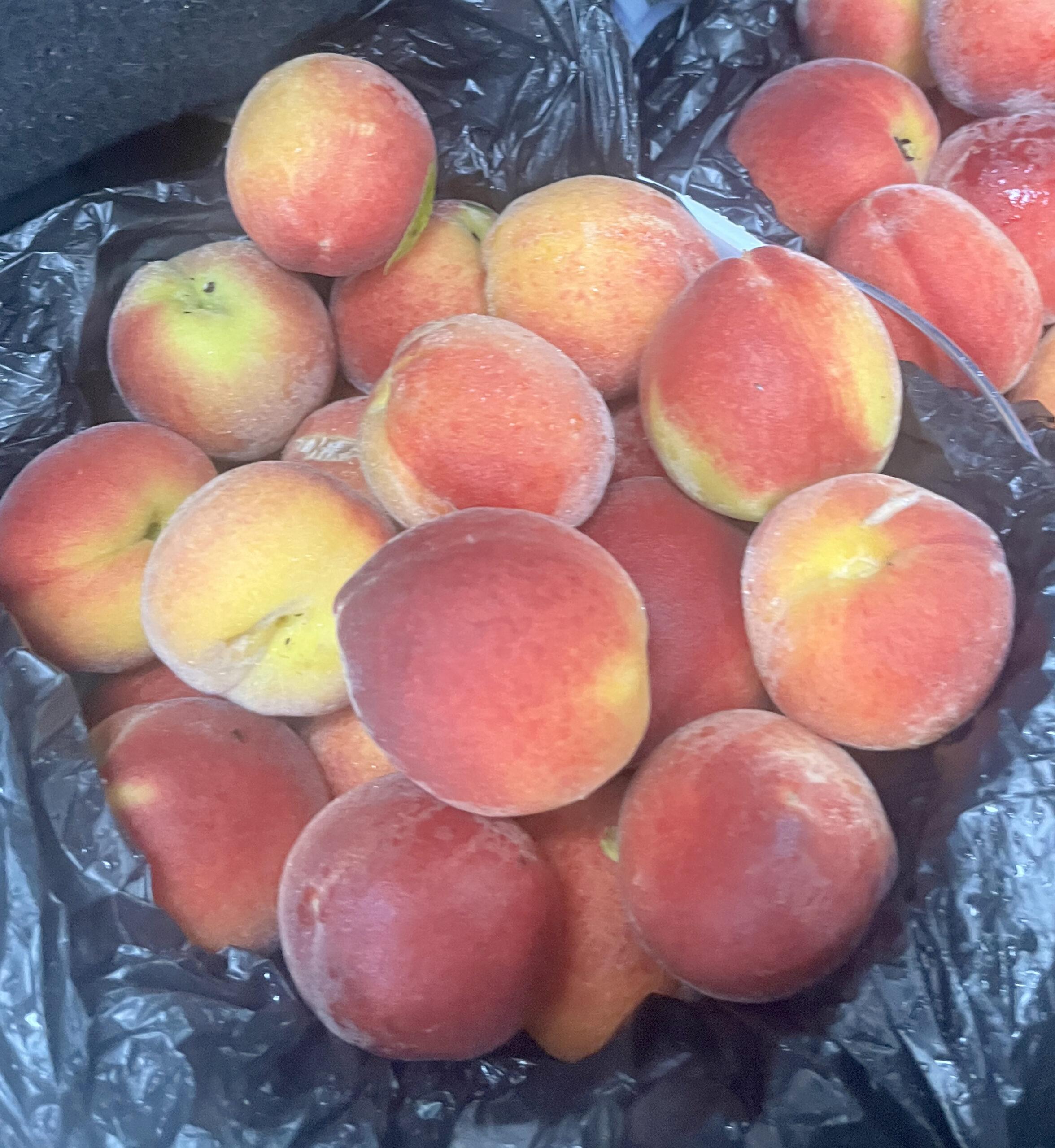 Featured image for “UGA Fruit Specialist Hopeful Peach Crop Dodges Diseases Amid Increased Rains”