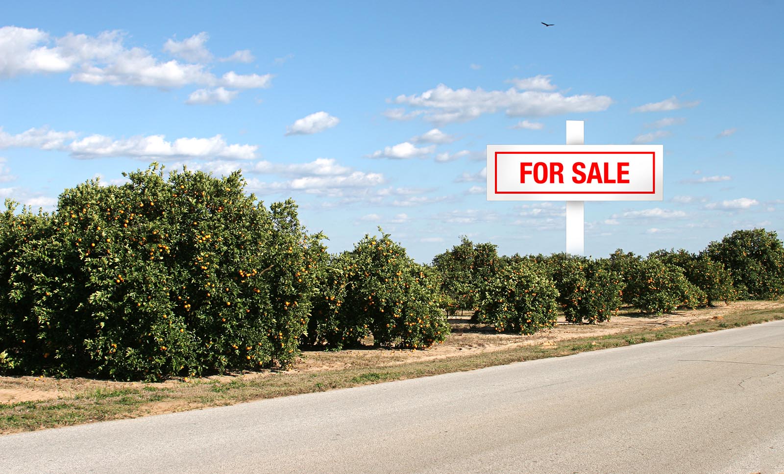 Featured image for āSpecialty Crop Grower Magazine: Food Security is National Securityā