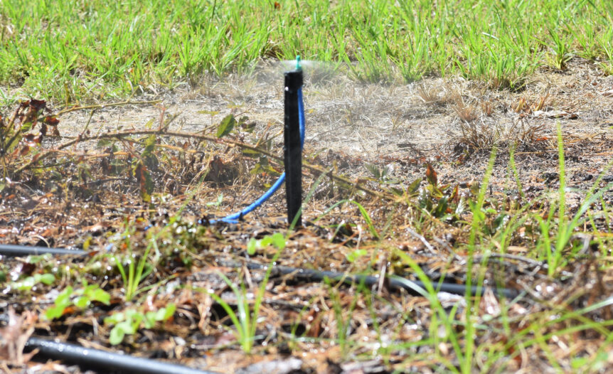 irrigation