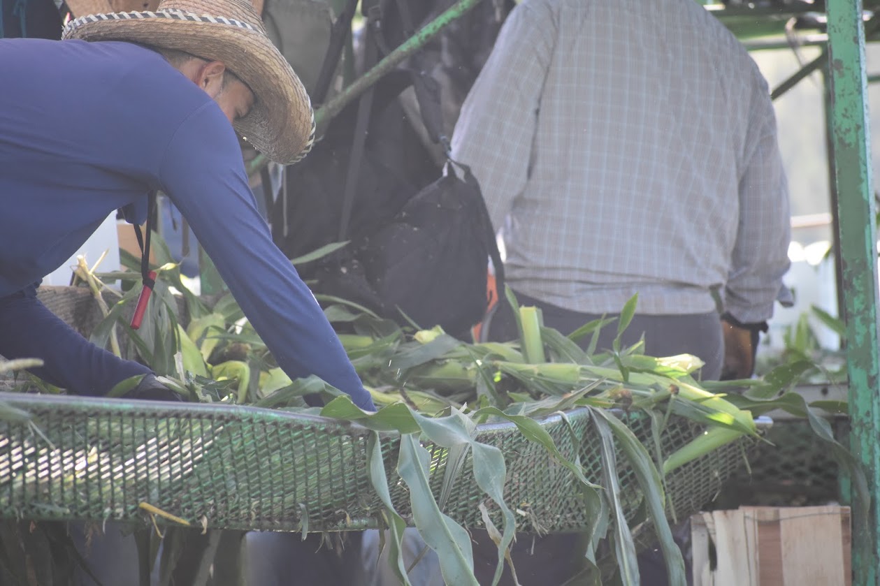 Featured image for “Georgia Ag Labor Relations Forum Set for Aug. 25-26”