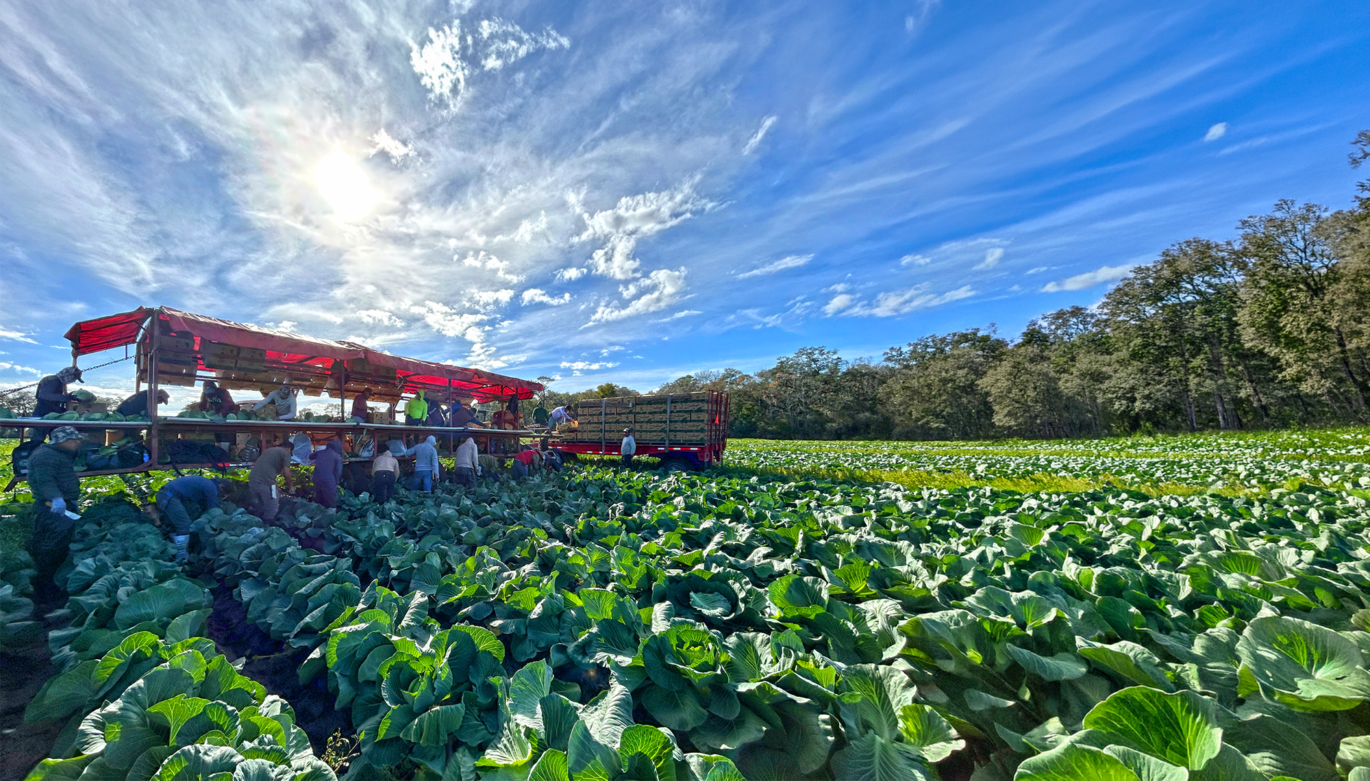 Featured image for “Specialty Crop Grower Magazine: Getting Food Dollars Back to Farms”