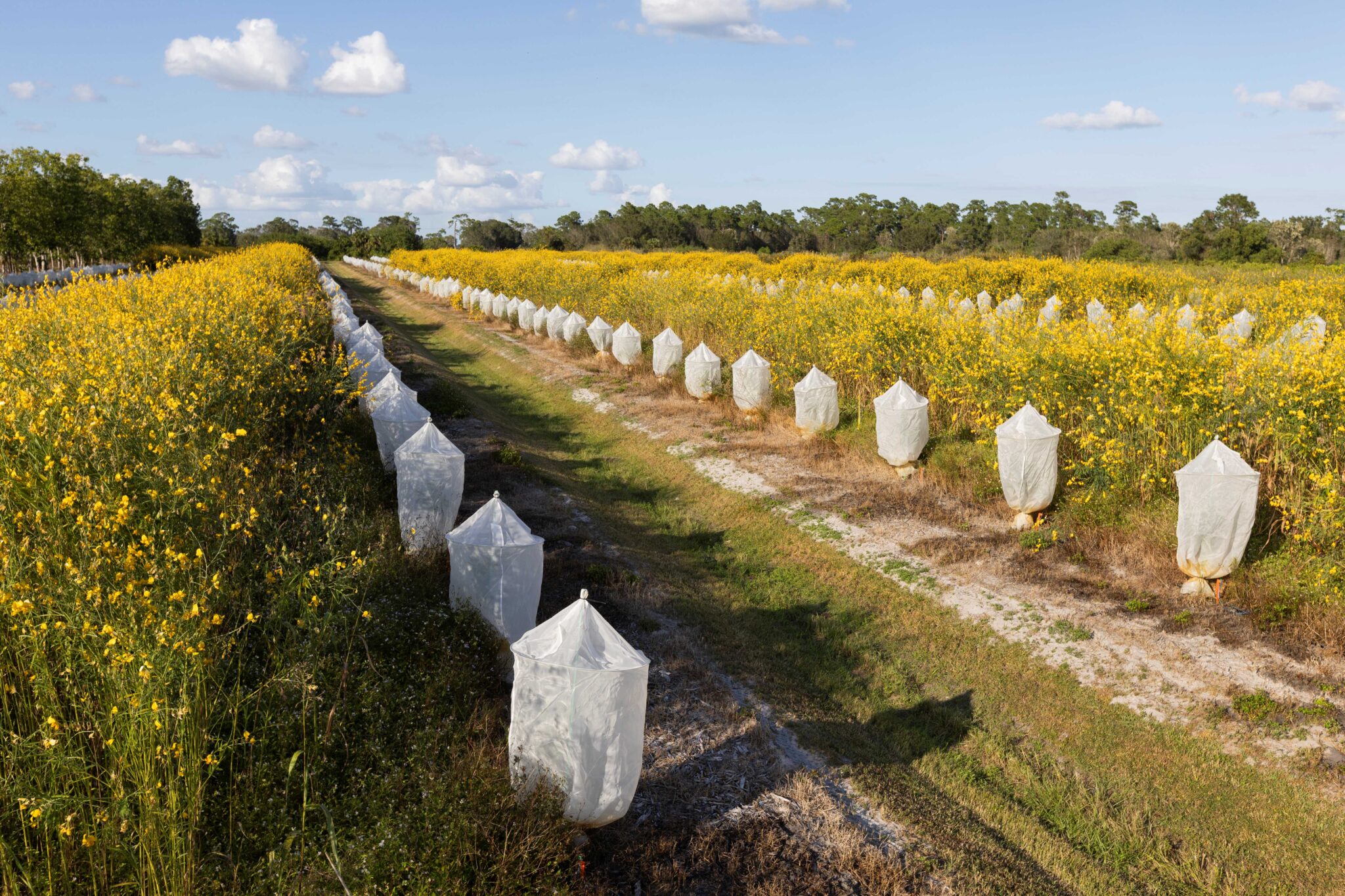Featured image for “Expo Presentation: Cover Crops Important Management Tactic”