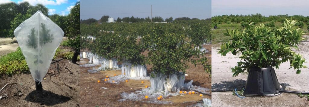 freeze protection