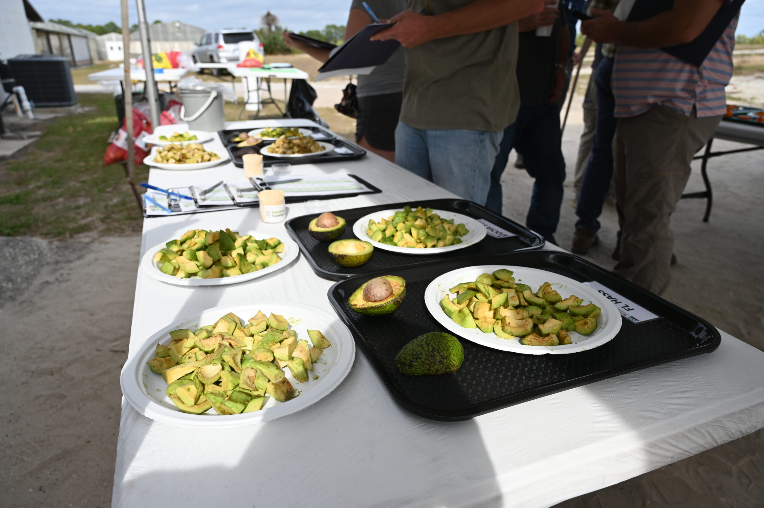 Featured image for “Specialty Crop Grower Magazine: Exploring Alternative Crops and Evolving Practices”
