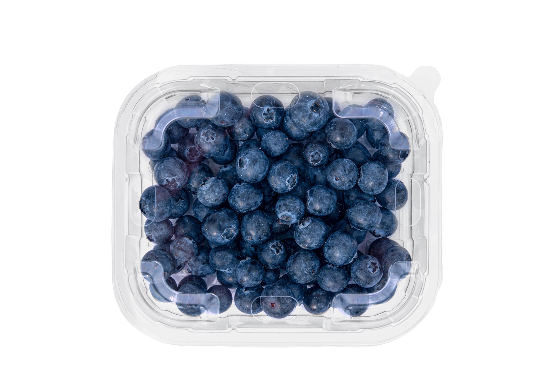 Featured image for “Specialty Crop Grower Magazine: Building a Bigger Market for Blueberries”